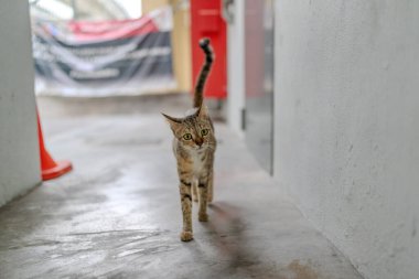 16 Haziran 2024 sabahı Taman Ma MRT İstasyonu, Taman Pinggiran Putra, 43300 Sri Kembangan, Selangor, Malezya.