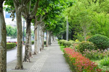 2 Haziran 2025 'te Şangay' ın Pudong Yeni Bölgesi 'ndeki Zhangjiang Hi-Tech Park İstasyonu' nda atmosfer sakin ve modern..