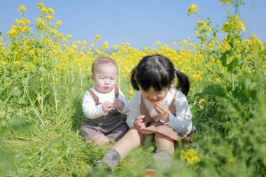6 aylık bir bebek ve 3 yaşındaki Japon bir kız çocuğu, sakin bir kırsal bölgedeki çiçek tarlasında birlikte oturup Mart ayının sıcağında sarı çiçeklerle çevrili atıştırmalıkların tadını çıkarıyorlar..
