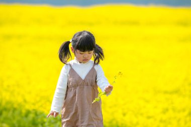 Huzurlu bir kırsal alanda çiçek açan kolza çiçeği tarlasında yürüyen ikiz kuyruklu 3 yaşında bir Japon kızı. Mart başında yakalanan, Baharın yumuşak atmosferiyle çevrili.