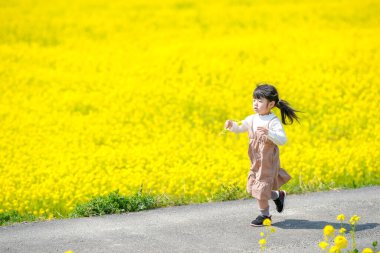 İkiz kuyruklu 3 yaşındaki bir Japon kızı, huzurlu kırsalda kolza çiçeği tarlasında neşeyle koşuyor. Mart başında yakalanan, baharın sıcağını çağrıştıran.