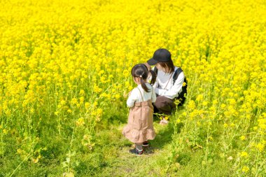 30 'lu yaşlarda Japon bir anne, 6 aylık bebeğini kucağında 3 yaşındaki ikiz kuyruklu kızıyla kırsalda çiçek açan bir tarlada oturuyor. Mart ayı başlarında yakalandı..