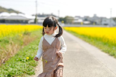 Huzurlu bir kırsal alanda çiçek açan kolza çiçeği tarlasında yürüyen ikiz kuyruklu 3 yaşında bir Japon kızı. Mart başında yakalanan, Baharın yumuşak atmosferiyle çevrili.