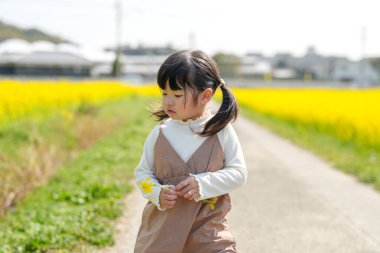 Huzurlu bir kırsal alanda çiçek açan kolza çiçeği tarlasında yürüyen ikiz kuyruklu 3 yaşında bir Japon kızı. Mart başında yakalanan, Baharın yumuşak atmosferiyle çevrili.