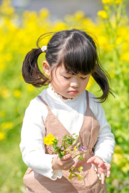 Mart ayı başlarında sakin bir kırsal kesimde, ikiz at kuyruklu 3 yaşındaki Japon kız, tamamen açan kolza tohumu çiçekleri arasından neşeyle kır çiçeklerini toplar ve baharın huzurlu bir anını yakalar..