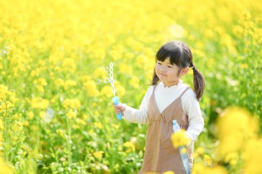 Japon kırsalındaki çiçek açan kolza tarlasında iki kuyruklu Japon bir kız çocuğu sabun köpüğüyle oynuyor. Sıcak bir bahar günü neşe ve merakla gülümsüyor..