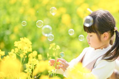 Japon kırsalındaki çiçek açan kolza tarlasında iki kuyruklu Japon bir kız çocuğu sabun köpüğüyle oynuyor. Sıcak bir bahar günü neşe ve merakla gülümsüyor..