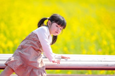 İkiz örgülü Japon bir kız çocuğu, Japonya 'nın kırsal kesimindeki canlı sarı kolza tohumlarının ortasında basit bir bankta oturur ve Mart ayının sonlarındaki hafif esintinin sıcaklığının tadını çıkarır..