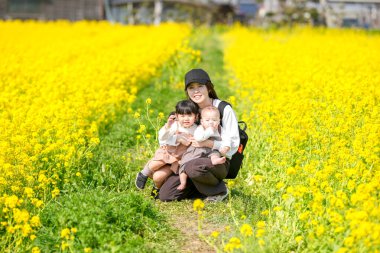 Mart ayı başlarında, Japon kırsalında, 6 aylık bir erkek bebek, ikiz kuyruklu 3 yaşında bir kız çocuğu, ve anneleri tamamen açan kolza çiçekleri arasında huzur içinde oturur, baharın tadını çıkarırlar..