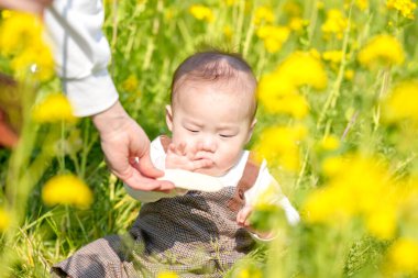 Mart ayında çiçek açan bir tecavüz tarlasında, 6 aylık Japon bir erkek bebek ve 3 yaşındaki ikiz kuyruklu bir kız birlikte oturur, altın çiçeklerle çevrili bahar güneşinin altında atıştırmalıkların tadını çıkarırlar..
