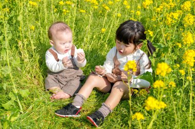 Mart ayında çiçek açan bir tecavüz tarlasında, 6 aylık Japon bir erkek bebek ve 3 yaşındaki ikiz kuyruklu bir kız birlikte oturur, altın çiçeklerle çevrili bahar güneşinin altında atıştırmalıkların tadını çıkarırlar..