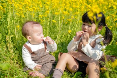 Mart ayında çiçek açan bir tecavüz tarlasında, 6 aylık Japon bir erkek bebek ve 3 yaşındaki ikiz kuyruklu bir kız birlikte oturur, altın çiçeklerle çevrili bahar güneşinin altında atıştırmalıkların tadını çıkarırlar..