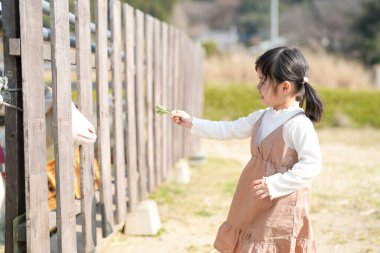 İkiz kuyruklu neşeli bir Japon kızı, Mart ayında güneşli bir bahar öğleden sonrasını sakin bir kırsal alanda yumuşak, sıcak güneş ışığıyla yıkanmış bir keçiyi yeşil otla besleyerek geçiriyor..