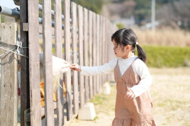İkiz kuyruklu neşeli bir Japon kızı, Mart ayında güneşli bir bahar öğleden sonrasını sakin bir kırsal alanda yumuşak, sıcak güneş ışığıyla yıkanmış bir keçiyi yeşil otla besleyerek geçiriyor..