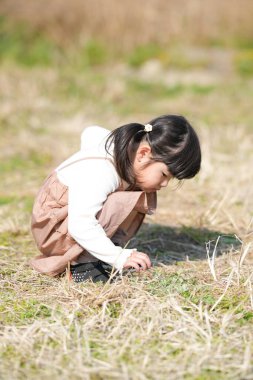 Japonya 'nın kırsal kesiminde, kır çiçekleriyle çevrili çimenli bir arazide oynayan ve Mart ayı sonlarında huzurlu bir öğleden sonra yumuşak bahar güneşinde yıkanan 3 yaşındaki Japon bir kız çocuğu..