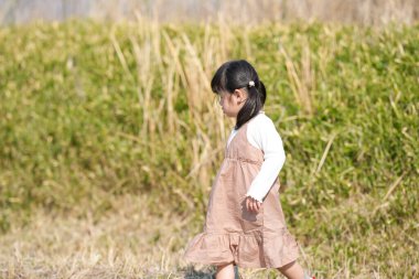 Japonya 'nın kırsal kesiminde, kır çiçekleriyle çevrili çimenli bir arazide oynayan ve Mart ayı sonlarında huzurlu bir öğleden sonra yumuşak bahar güneşinde yıkanan 3 yaşındaki Japon bir kız çocuğu..