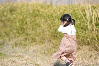 Japonya 'nın kırsal kesiminde, kır çiçekleriyle çevrili çimenli bir arazide oynayan ve Mart ayı sonlarında huzurlu bir öğleden sonra yumuşak bahar güneşinde yıkanan 3 yaşındaki Japon bir kız çocuğu..