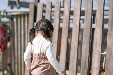İkiz kuyruklu neşeli bir Japon kızı, Mart ayında güneşli bir bahar öğleden sonrasını sakin bir kırsal alanda yumuşak, sıcak güneş ışığıyla yıkanmış bir keçiyi yeşil otla besleyerek geçiriyor..