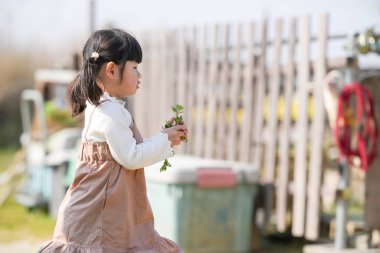 İkiz kuyruklu neşeli bir Japon kızı, Mart ayında güneşli bir bahar öğleden sonrasını sakin bir kırsal alanda yumuşak, sıcak güneş ışığıyla yıkanmış bir keçiyi yeşil otla besleyerek geçiriyor..