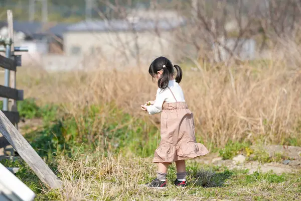 İkiz kuyruklu 3 yaşındaki Japon bir kız, Japonya 'nın kırsal kesimindeki çimenlik bir alanda, dağınık malzemelerle çevrili bir depoda oynuyor ve Mart ayı sonlarında yumuşak bahar güneşinde banyo yapıyor..