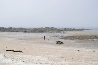 Haziran 2025 'te, 50' li yaşların sonlarında bir Koreli erkek ve kadın, sakin okyanus esintisinin, sessiz anların ve Incheon Metropolitan City 'de birbirlerinin arkadaşlığının tadını çıkararak, huzurlu deniz kıyısında yürürler..