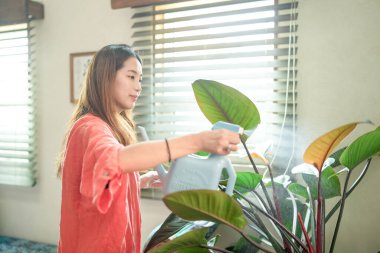 In a Mediterranean-style living room, a young Japanese woman in her 20s wearing an orange outfit sprays water on a houseplant. Japan. Summer.