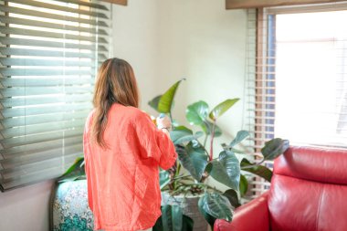 In a Mediterranean-style living room, a young Japanese woman in her 20s wearing an orange outfit sprays water on a houseplant. Japan. Summer.