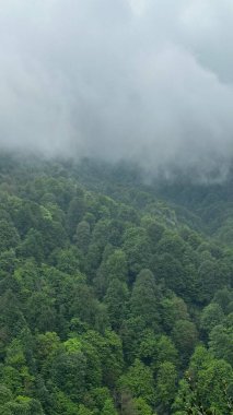 Dağların güzel manzarası