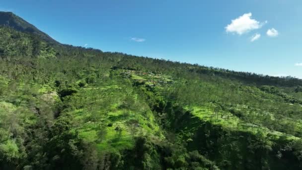 Vista Aérea Del Valle Los Senderos Lava Del Monte Merapi — Vídeo de stock