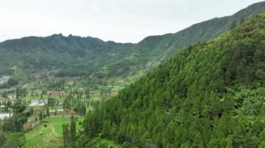 Sindoro Dağı, Wonosobo, Central Java, Endonezya 'nın yanındaki Tambi tepesindeki teraslı sebze çiftliğinin hava manzarası.