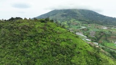 Sindoro Dağı, Wonosobo, Central Java, Endonezya 'nın yanındaki Tambi tepesindeki teraslı sebze çiftliğinin hava manzarası.