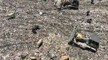 Aerial view of a city dump center full of trash. Herd of cows eating garbage in a landfill. Ecology and health issues.