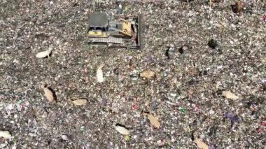 Aerial view of a city dump center full of trash. Herd of cows eating garbage in a landfill. Ecology and health issues.
