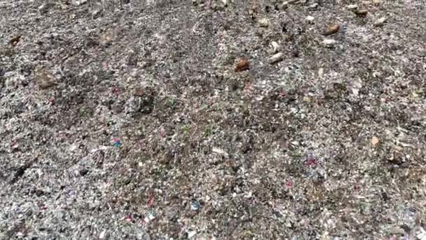 ゴミでいっぱいの街のダンプセンターの空中ビュー 牛の群れが埋め立て地でゴミを食べている 生態学と健康問題 — ストック動画
