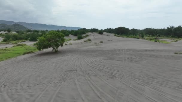 Luchtfoto Van Overwoekerde Zandduinen Tijdens Het Regenseizoen — Stockvideo