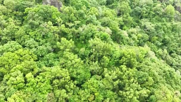 Vista Aérea Del Antiguo Volcán Nglanggeran Indonesia — Vídeo de stock