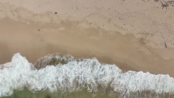 Flygfoto Över Indonesiska Tropiska Stranden — Stockvideo