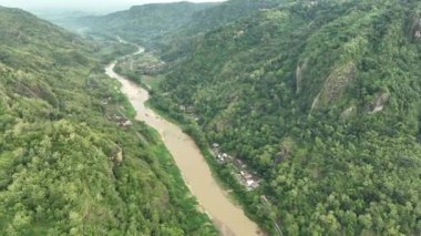 Tropikal Ormandaki Nehir Kıvrımının Hava Görüntüsü