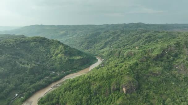 우림의 유역을 공중에서 내려다본 — 비디오