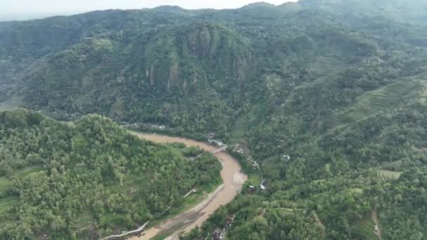 Vista Aérea Curva Del Río Bosque Tropical — Vídeos de Stock