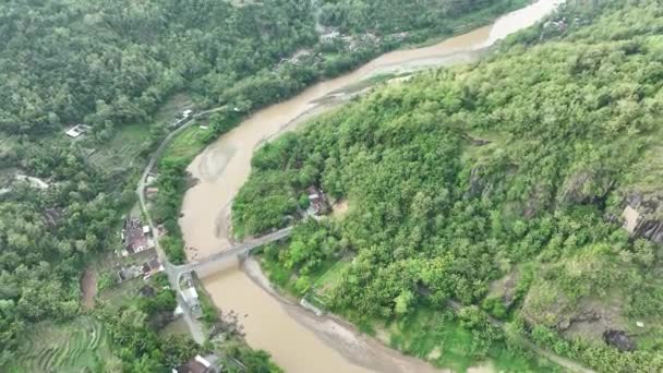 Vista Aérea Curva Del Río Bosque Tropical — Vídeos de Stock