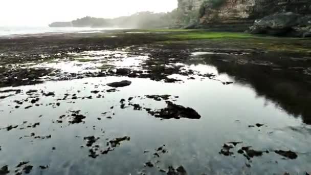 Vista Aérea Playa Marea Baja Mar Con Rocas Jogja Indonesia — Vídeo de stock