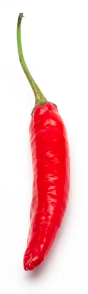 Red Chili Pepper Απομονωμένο Ρεαλιστικό Red Chili Pepper Λευκό Φόντο — Φωτογραφία Αρχείου