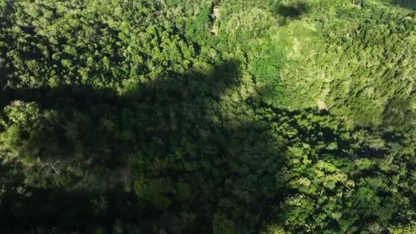 Vista Aérea Del Lago Artificial Waduk Sermo Desde Parque Nacional — Vídeo de stock