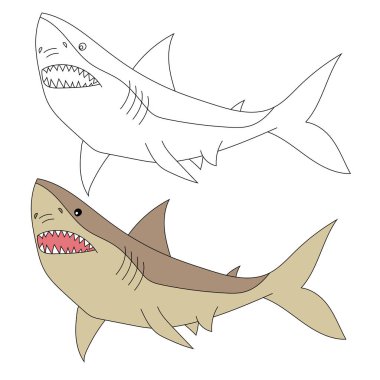Köpekbalığı Clipart. Su altı Hayvanları Zirvesi Deniz Hayvanı, Deniz Yaşamı ve Deniz Yaşamı