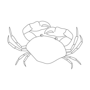 Crab Clipart 'ta. Su altı Hayvanları Zirvesi Deniz Hayvanı, Deniz Yaşamı ve Deniz Yaşamı
