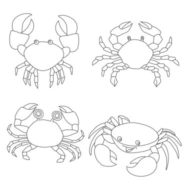 Crab Clipart 'ta. Su altı Hayvanları Zirvesi Deniz Hayvanı, Deniz Yaşamı ve Deniz Yaşamı