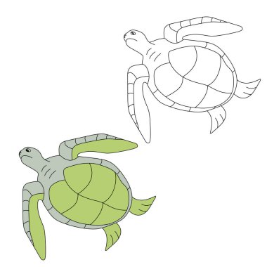 Deniz Kaplumbağası Clipart. Su altı Hayvanları Zirvesi Deniz Hayvanı, Deniz Yaşamı ve Deniz Yaşamı