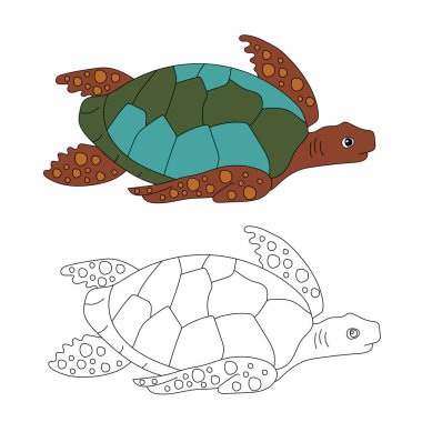 Deniz Kaplumbağası Clipart. Su altı Hayvanları Zirvesi Deniz Hayvanı, Deniz Yaşamı ve Deniz Yaşamı