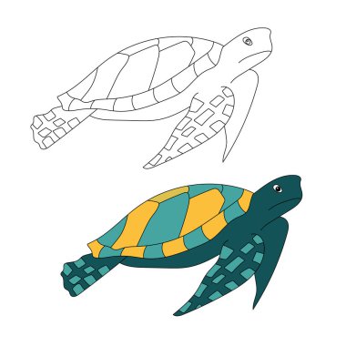 Deniz Kaplumbağası Clipart. Su altı Hayvanları Zirvesi Deniz Hayvanı, Deniz Yaşamı ve Deniz Yaşamı